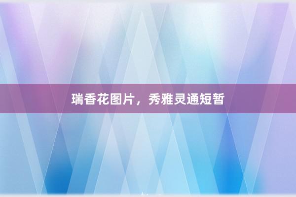 瑞香花图片，秀雅灵通短暂