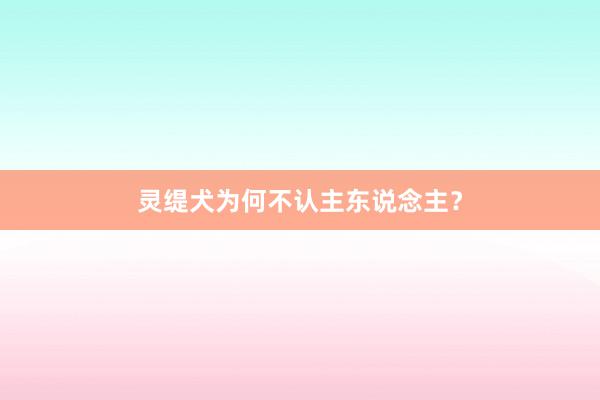 灵缇犬为何不认主东说念主？
