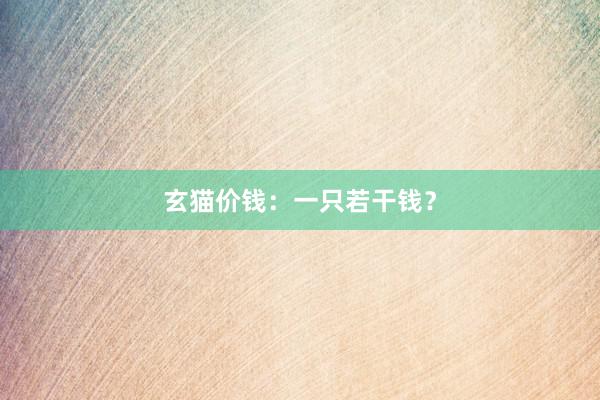 玄猫价钱:一只若干钱?