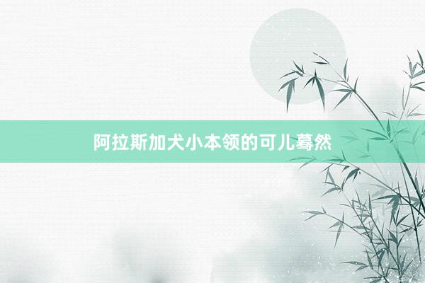 阿拉斯加犬小本领的可儿蓦然