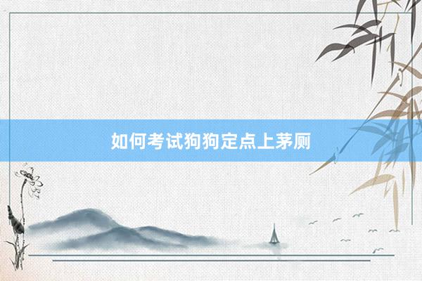 如何考试狗狗定点上茅厕