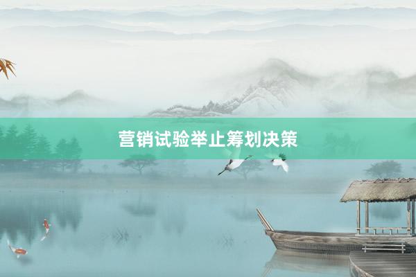 营销试验举止筹划决策